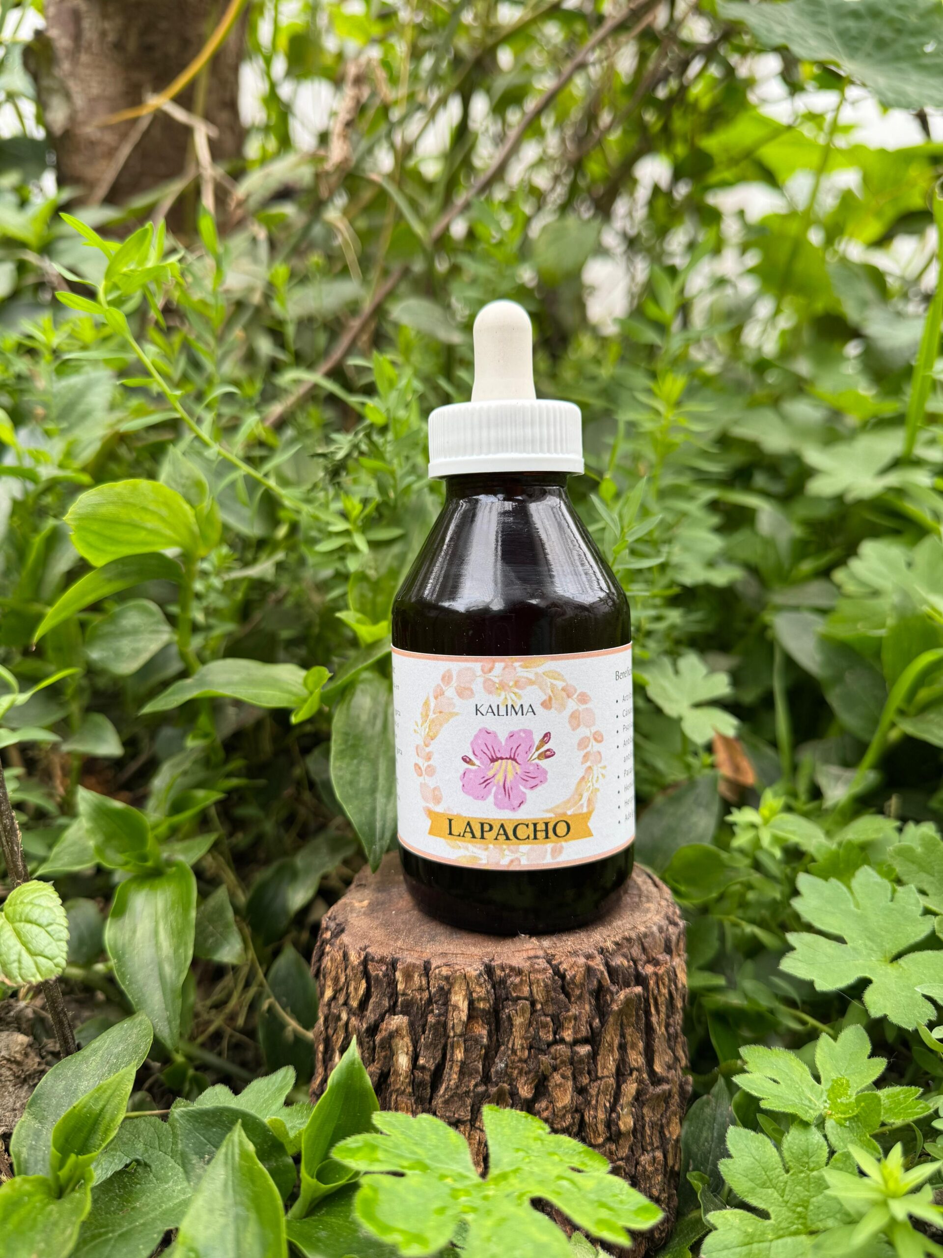 🌿Tintura madre de Lapacho 100 ml