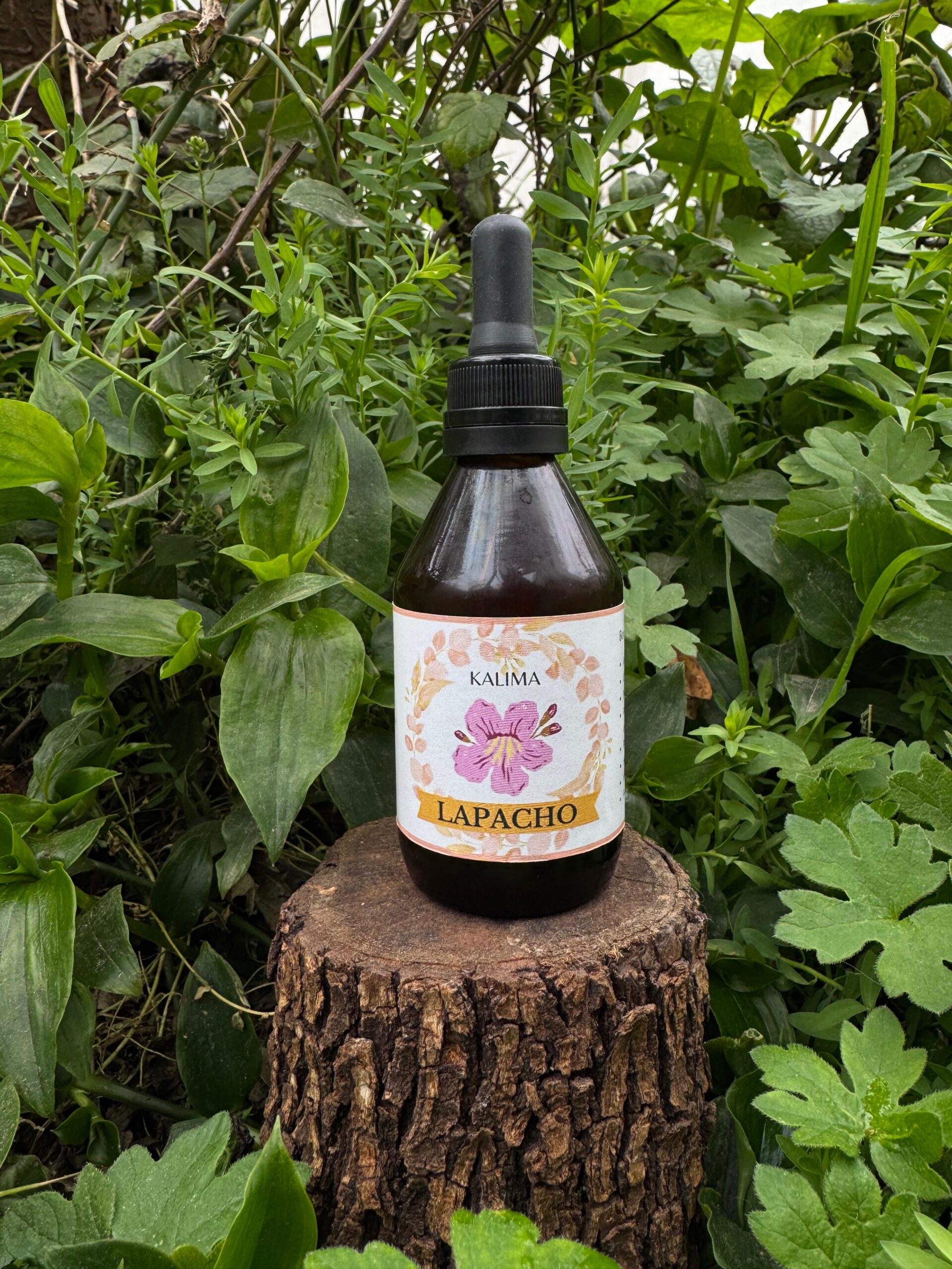 🌿Tintura madre de Lapacho 60 ml