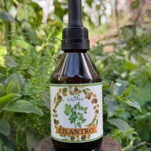 🌿Tintura madre de Cilantro 60 ml