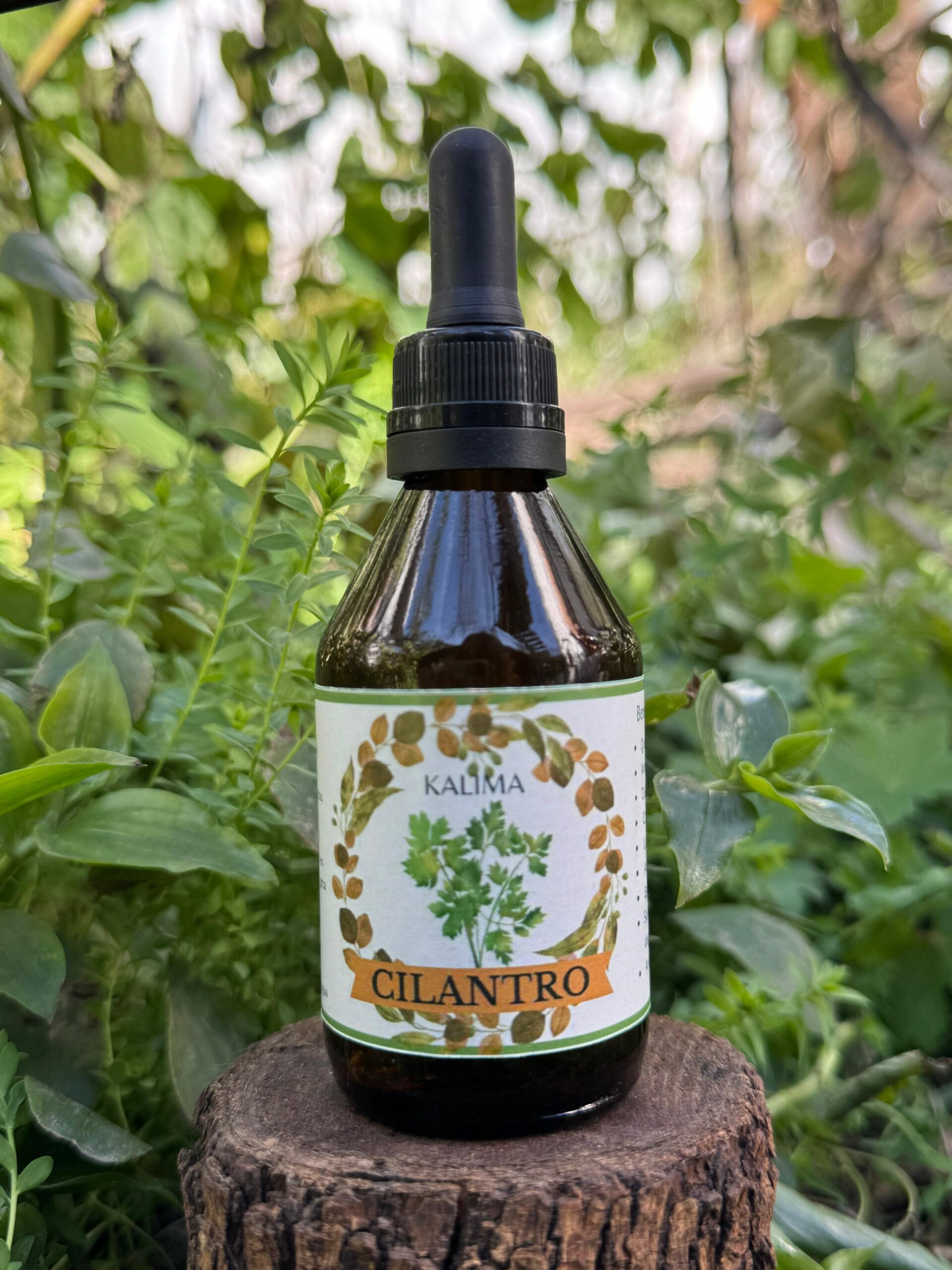 🌿Tintura madre de Cilantro 60 ml