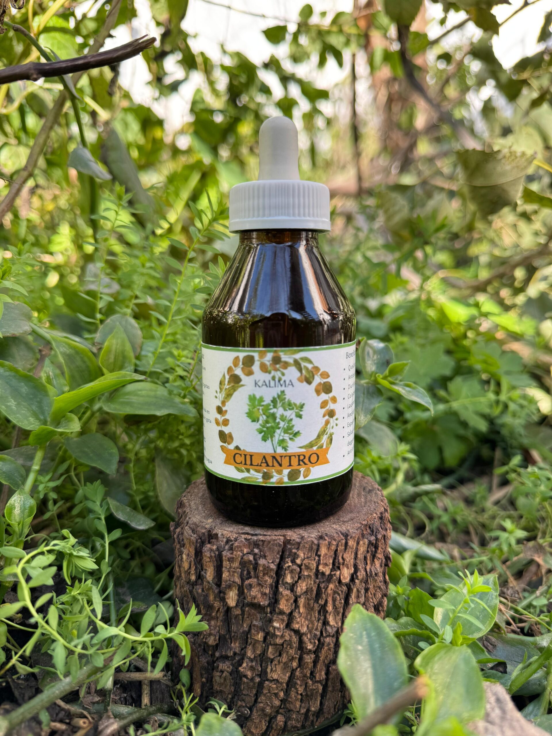 🌿 Tintura madre de Cilantro 100 mL