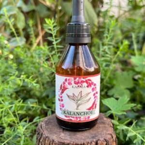 🌿 Tintura madre de Kalanchoe 60 mL