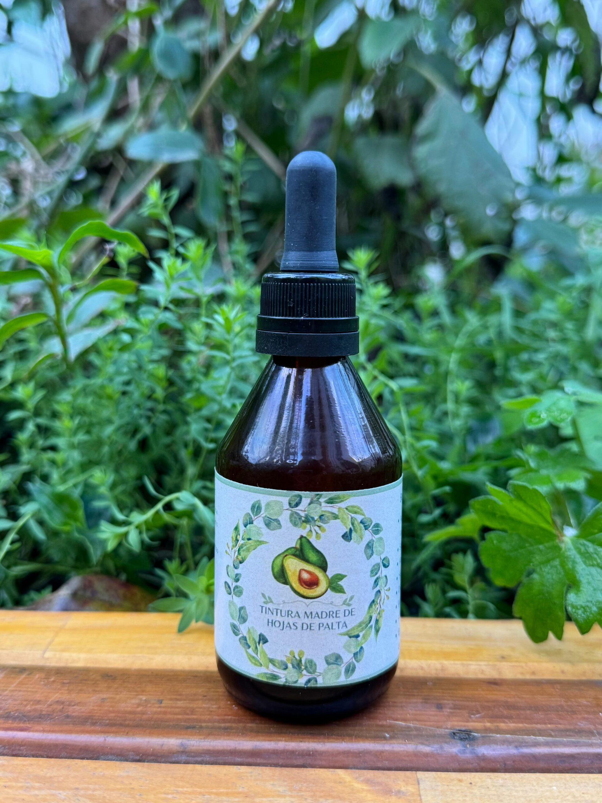🌿 Tintura madre de Palta 60 mL