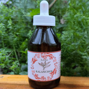 🌿 Tintura madre de Kalanchoe 100 mL