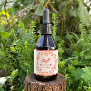 🌿 Tintura madre de Hibiscus 60 ML