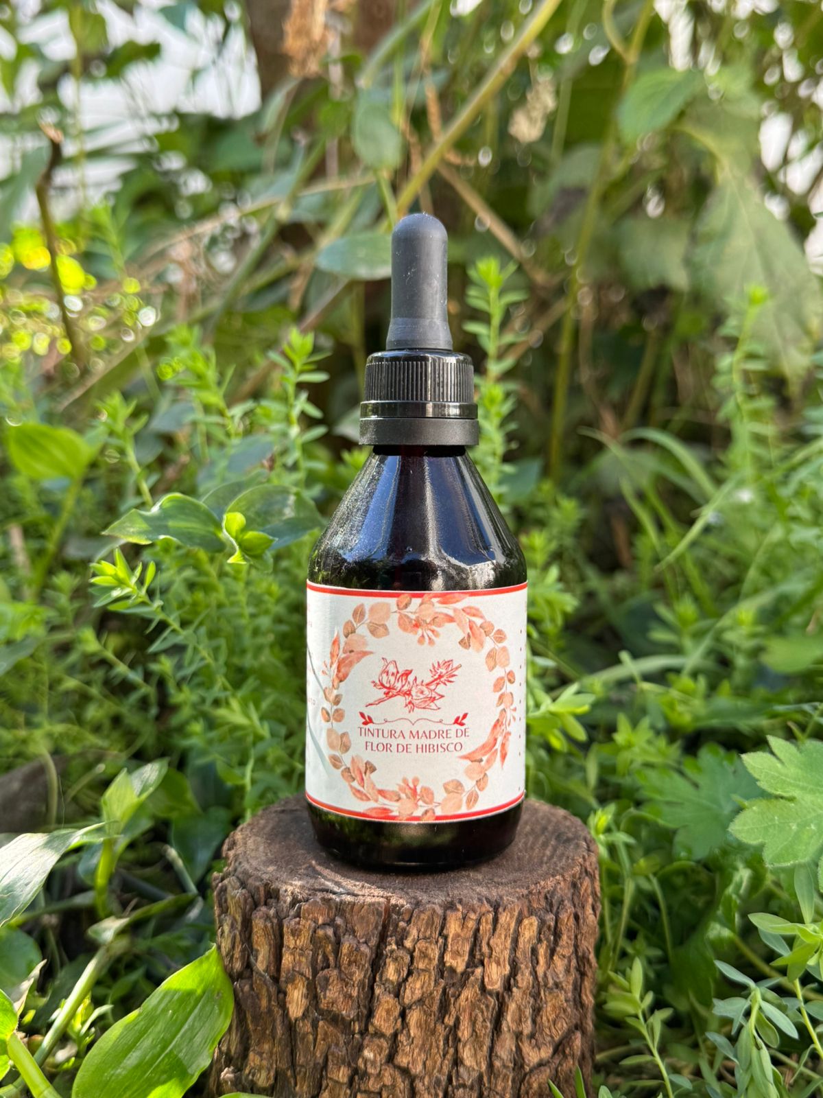🌿 Tintura madre de Hibiscus 60 ML