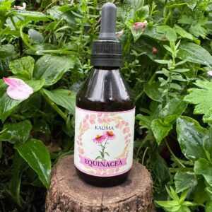 🌿Tintura madre de Equinacea 60mL
