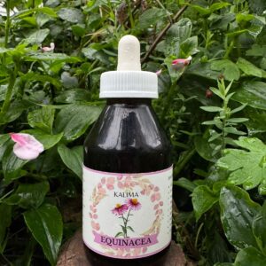 🌿Tintura madre de Equinacea 100mL