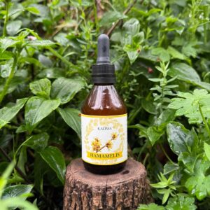 🌿 Tintura madre de Hamamelis 60 mL