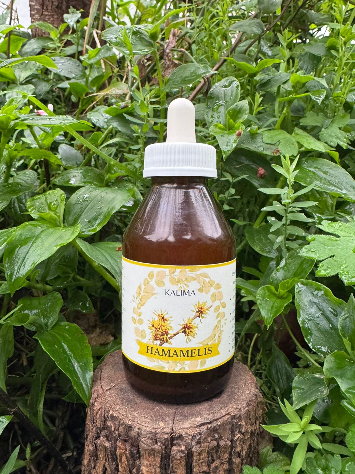 🌿Tintura madre de Hamamelis 100 ml