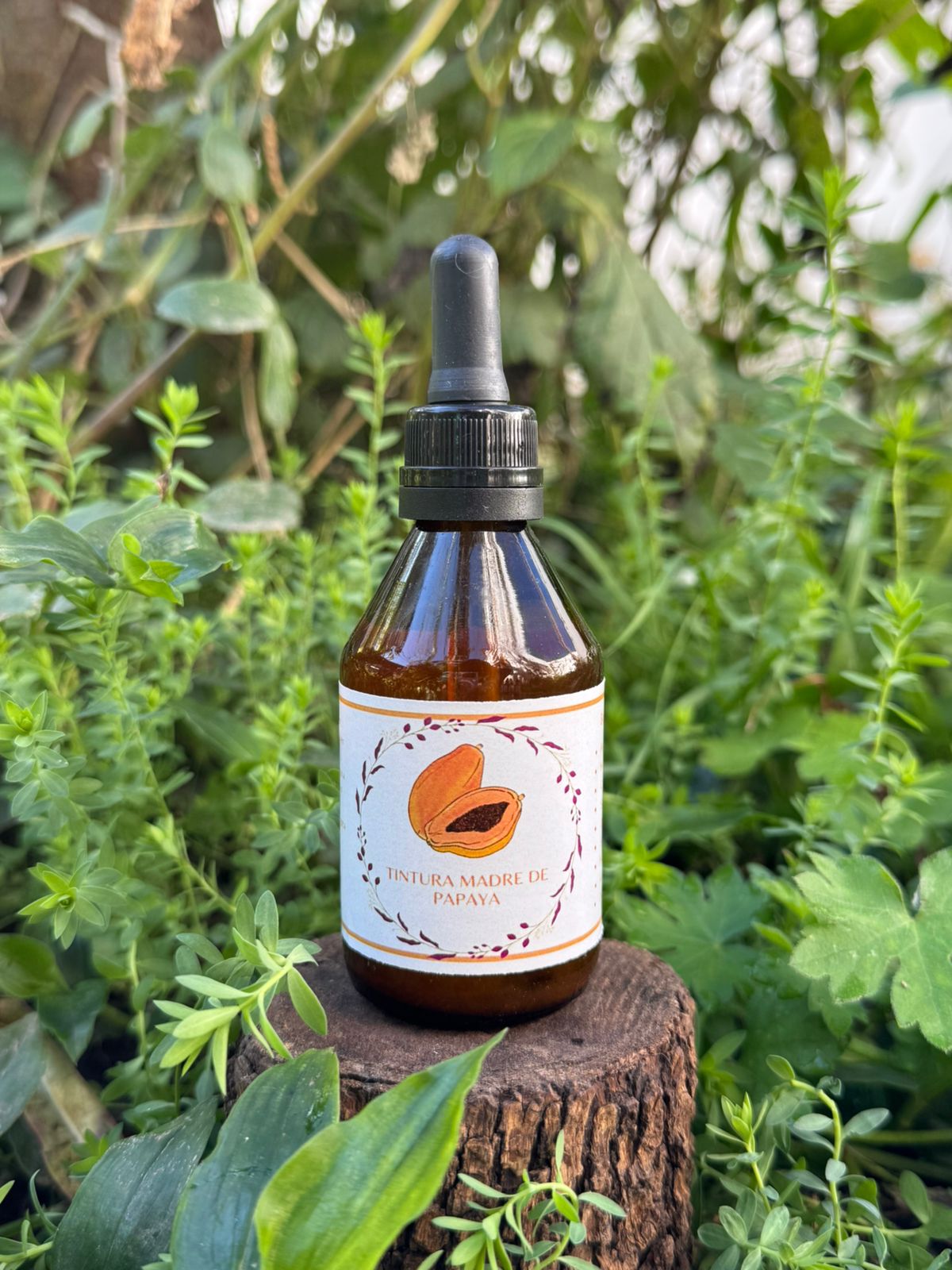 🌿 Tintura madre de Papaya 60 mL