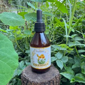 🌿 Tintura madre de Caléndula 60 mL
