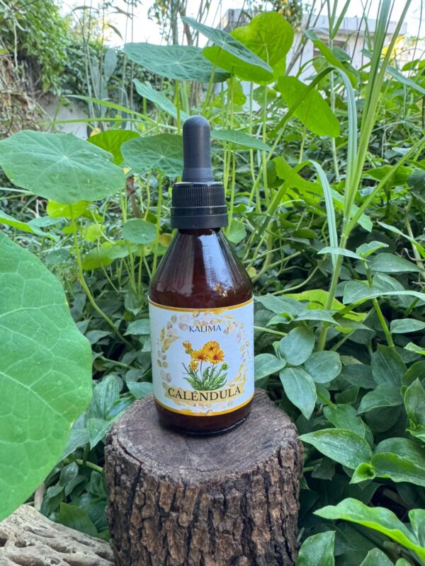 🌿 Tintura madre de Caléndula 60 mL