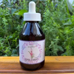 🌿 Tintura madre de Epilobio 100 mL