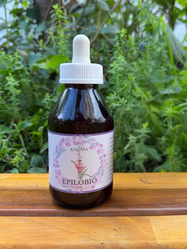 🌿 Tintura madre de Epilobio 100 mL