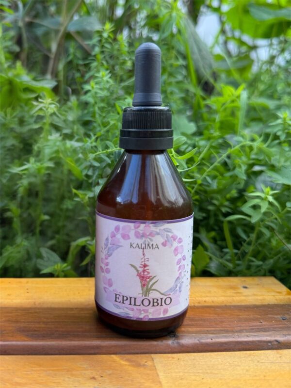 🌿 Tintura madre de Epilobio 60 mL