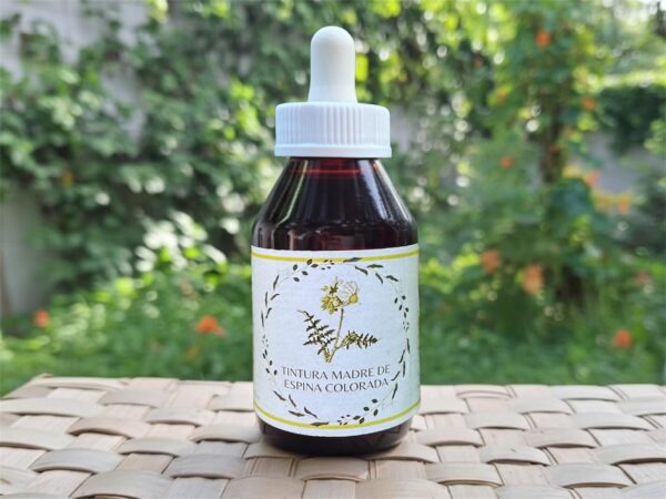 🌿 Tintura madre de Espina Colorada 100 mL