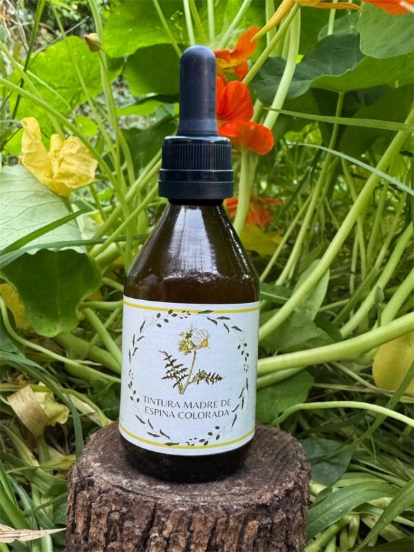 🌿 Tintura madre de Espina Colorada 60 mL