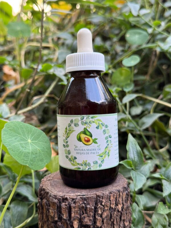 🌿 Tintura madre de Hojas de Palta 100 mL