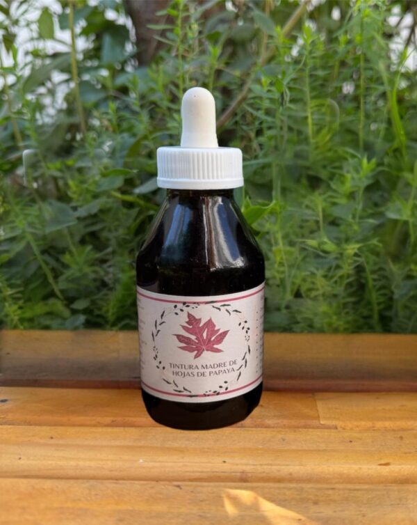 🌿 Tintura madre de Hojas de Papaya 100 mL