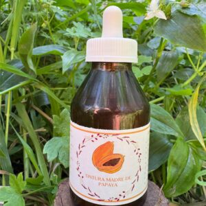 🌿 Tintura madre de Papaya 100 mL
