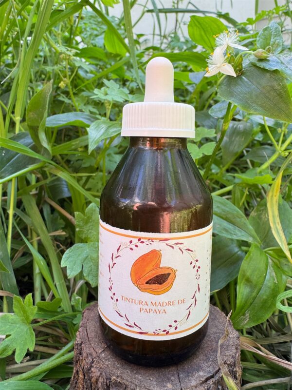 🌿 Tintura madre de Papaya 100 mL