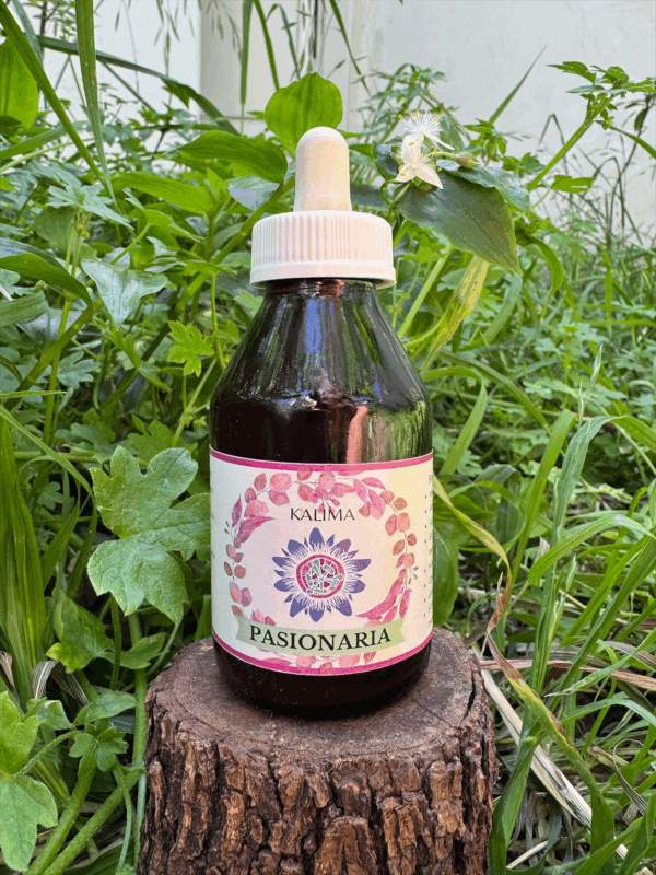 🌿 Tintura madre de Pasionaria 100 mL