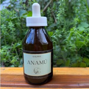 🌿 Tintura madre de Anamú 100 mL