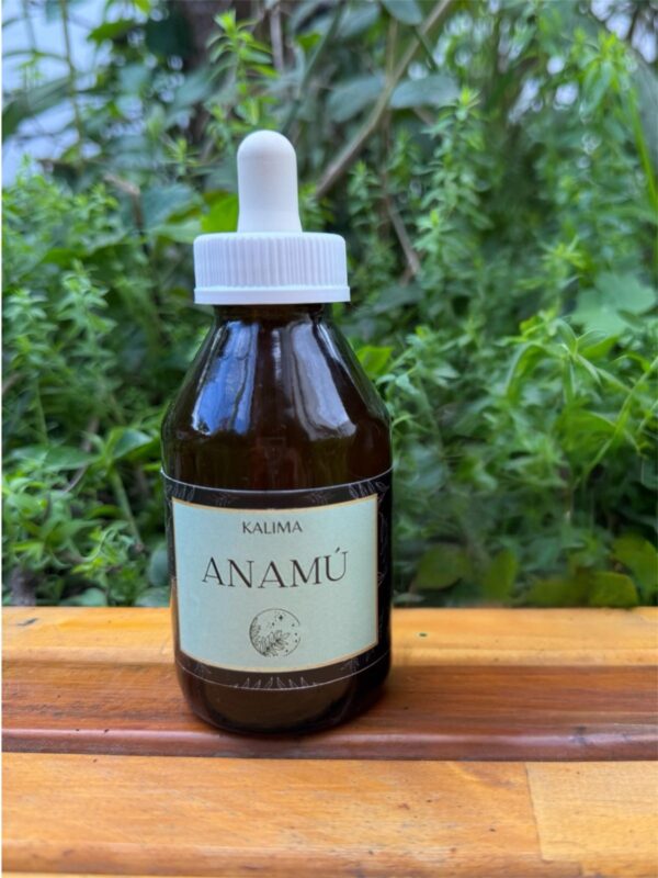🌿 Tintura madre de Anamú 100 mL