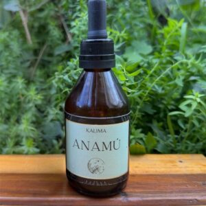 🌿 Tintura madre de Anamú 60 mL