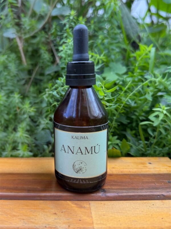 🌿 Tintura madre de Anamú 60 mL