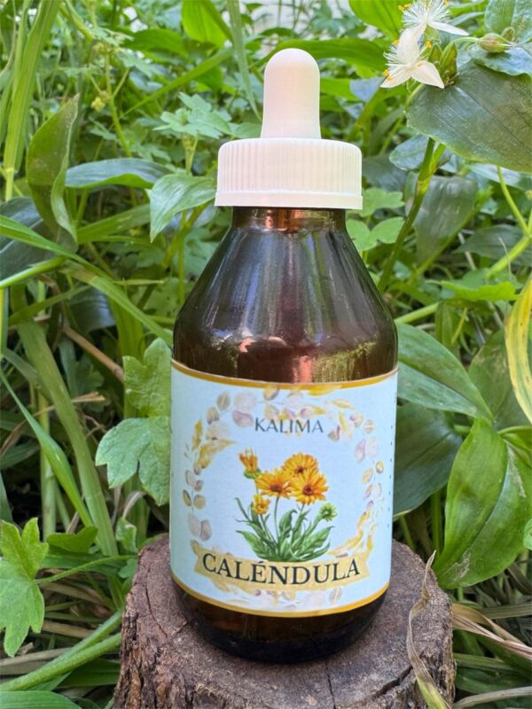 🌿 Tintura madre de Caléndula 100 mL