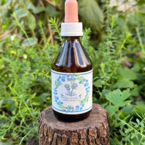 🌿 Tintura madre de Cardo Mariano 60 mL