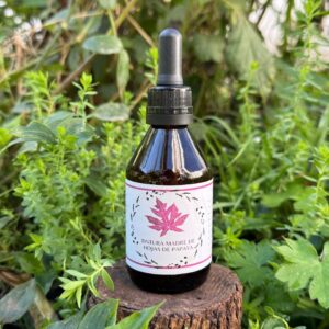 🌿 Tintura madre de Hojas de Papaya 60 mL