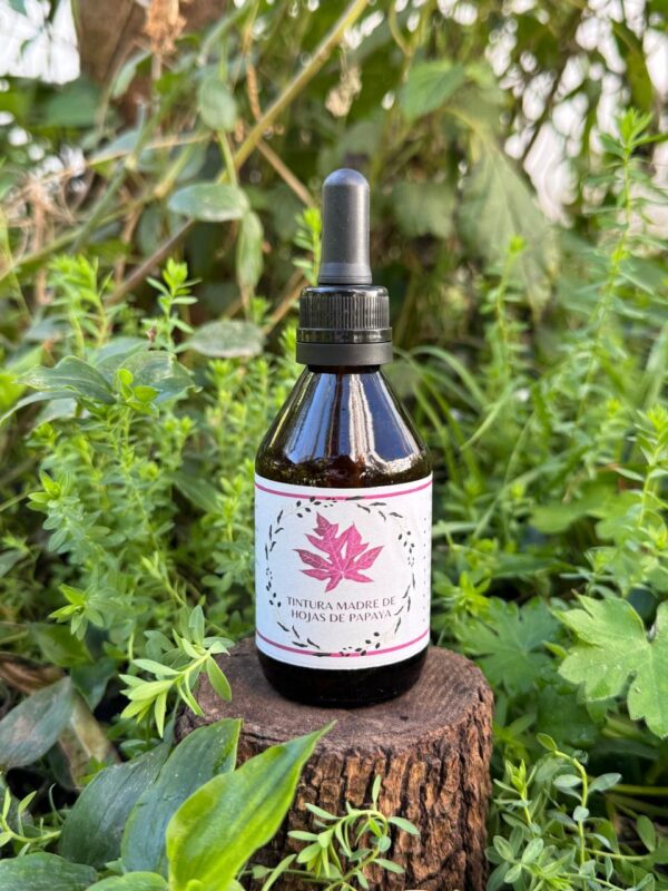 🌿 Tintura madre de Hojas de Papaya 60 mL