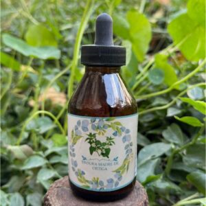 🌿Tintura madre de Ortiga 100 ml