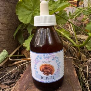 🌿Tintura madre de Reishi 100 ml