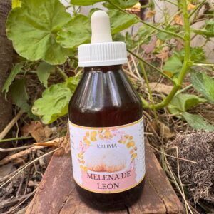 🌿Tintura madre de Melena de leon100 ml