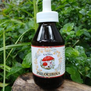 🌿Tintura madre de psilocibina 100 ml