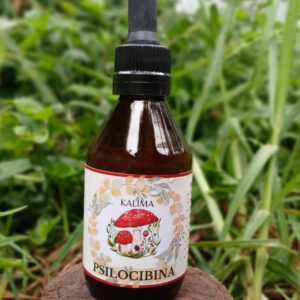 🌿Tintura madre de psilocibina 60 ml