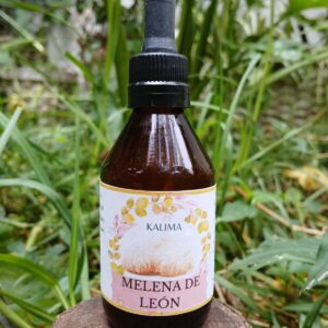 🌿Tintura madre de Melena de leon 60 ml