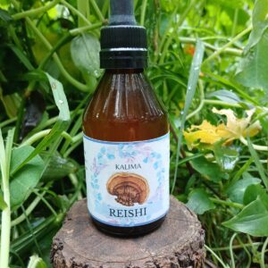 🌿Tintura madre de Reishi 60 ml